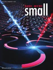 Small濯տѧ빤ѧԺʦоɹ
