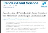 ʡ澳ӦصʵϾʿϱҵѧֽŶTrends in Plant Science־Ϸ