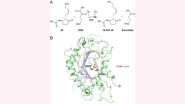 ˲ǿУ | ֲѧԺڿڡMolecular Plantоɹ