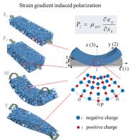 ѧԺʦڡJournal of the Mechanics and Physics of Solidsоɹ