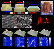 ¿Advanced Functional MaterialsϷоɹ