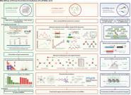 ҽѧԺʦڹʶڿNucleic Acids ResearchϷоɹ