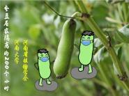 ѧѧԺƷȫֲѧնƵٻ
