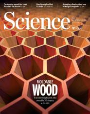 Scienceйƴоɹȼϵز߻شչ