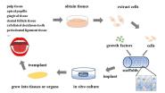 ǻҽѧԺڡFrontiers in Bioengineering and BiotechnologyϷ