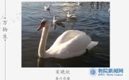 УίμѧԺֹᡰƷչʾ
