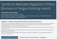 ½ƽԺʿŶڡAnnual Review of Entomology