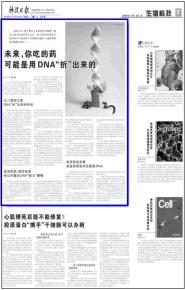 ƼձδԵҩDNAۡ