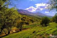 ѧԺMostafa KheshtiScienceһһ·һ