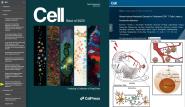 ϴѧ㽭ѧŶӹͬıΪ2020Cell