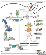 ŶҮ³ѧNature Microbiology