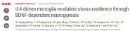 ʵScience advancesڹСϸڿе