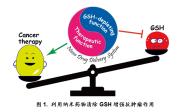 ѧԺӸChemical Society Reviews