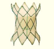 ϺͯҽѧȫͯPT-Valve?Ĥֲ