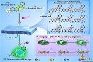 ³ҽԺ֢ҽѧΰChemical Engineering Journalоɹ