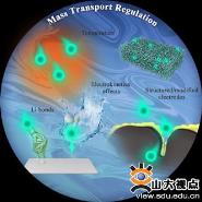 ˽Advanced Energy MaterialsϷ
