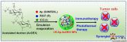 ѡڿBiomaterials๦ܹڰ֢ЭͬƵ¼