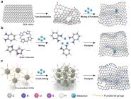 ԴѧԺĴNature Chemistry