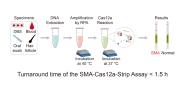 ϴѧ鷢CRISPR/CasϵͳŴ³ɹ