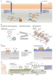 УѧԺˡNature Review Microbiology