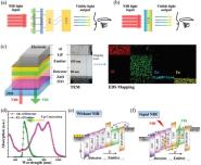 ѧԺ˹»ڡAdvanced MaterialsAdvanced Functional Materials