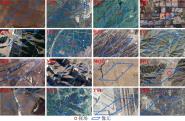 ʻѧԺʿڡRemote Sensing of Environmentоɹ