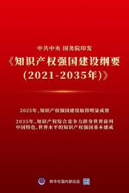 Ϻ֪ʶȨѧԺѧϰᡶ֪ʶȨǿҪ2021-2035꣩