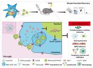 ϴѧҽѧԺҦڡJournal of Extracellular Vesiclesоɹ