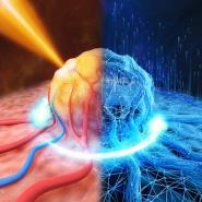AI͸ӻ֯ ѧ״ѧϰޱעʵʵֶ