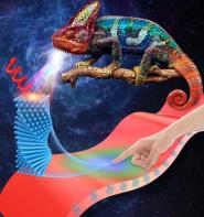 й걨ϵġɫƤѧŶзܲ