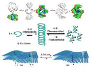 쿡Angewandte Chemie International EditionϷоɹ