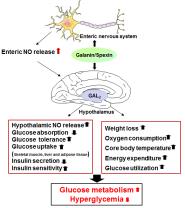 Frontiers in Neuroendocrinology־ѧԺʦоɹ