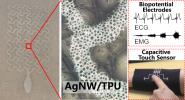 Chemical & Engineering NEWSϾʵѧʿоʺоɹ