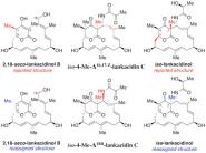 УʦڡJournal of the American Chemical SocietyϷо