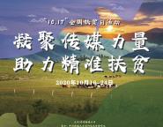 ۴ý ׼ƶУչƶϵл