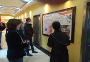 У˳2020ȱнϵͳȽְСҡƼѡ