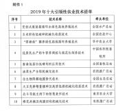 Уһѡ2019ʮũҵ