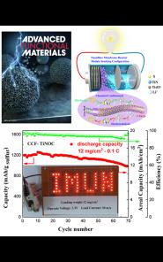 ״оԺоɹڡAdvanced Functional Materials