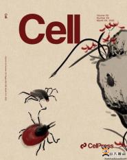 оԱŶӺڡCell
