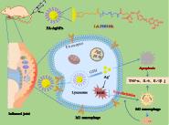 ϴѧҩѧԺ-ĻŶڹȨڿBiomaterialsϷоɹ