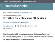 ԺʿолڡNature Electronics¿нչ