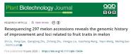 ũҵѧϷŴŶڹ֪ڿPlant Biotechnology Journal߷о