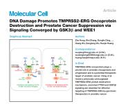 ͬҽԺŶӲǰٰ׼²ԣоɹ߷ڡMolecular Cell