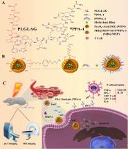 ѧԺҢŶڡBiomaterials
