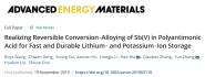 ѧԺơŶڶڿAdvanced Energy MaterialsϷġڼӵоȡҪչ