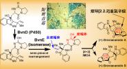 ʢӢŶѧѧNature Catalysis