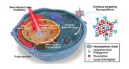άڿڹڿAdvanced Functional Materialsºоɹ