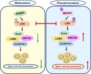 ϴѧФʤ-Ŷڹڿ Signal Transduction and Targeted TherapyϷоɹ