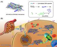 ŶBiosensors and Bioelectronicsоɹ