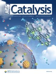 ACS Catalysis±УСŶо½չ